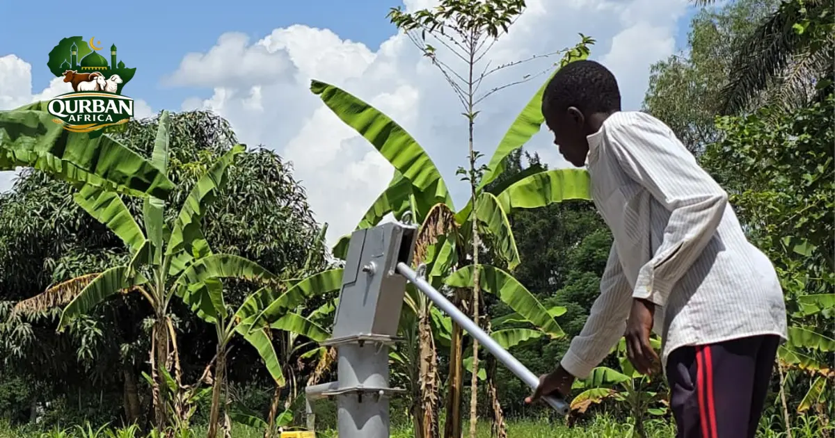 Qurban Africa clean water tube-well project in Africa