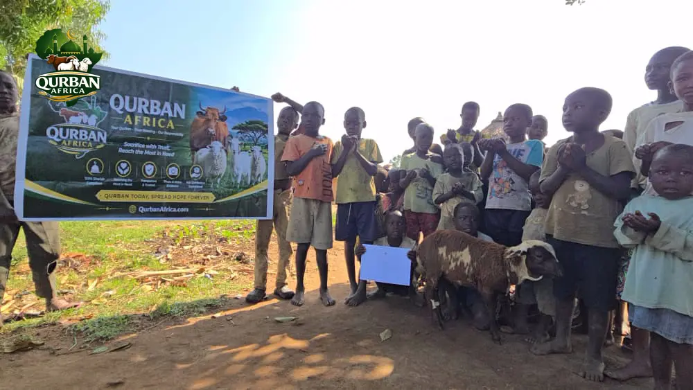 Real Qurban Africa Sadaqah Sacrifice project media