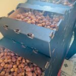 Qurban Namibia Dates
