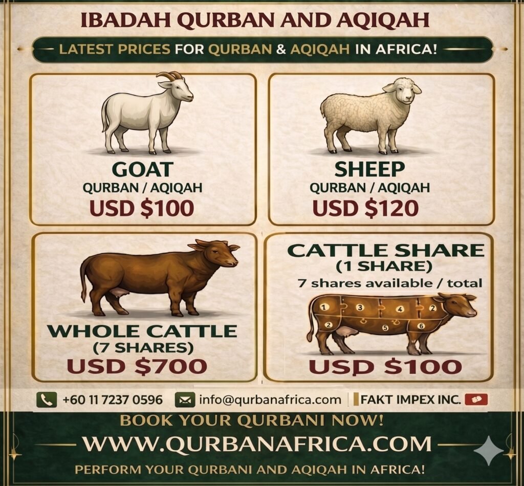 USD HALF FLYER-QURBAN AFRICA
